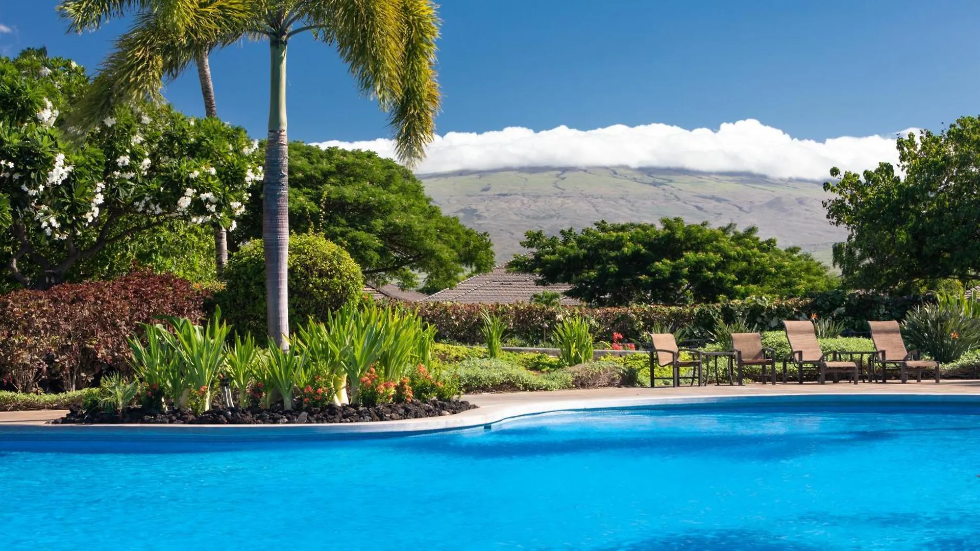 Blue Lagoon Single Level 4Br Kamilo Home With Pool And Cottage Waikoloa